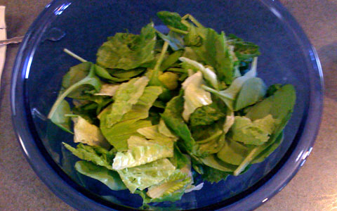Medifast Lean and Green Taco Salad Recipe